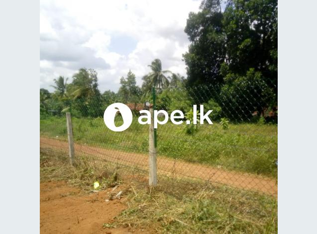 Land for sale minuwangoda